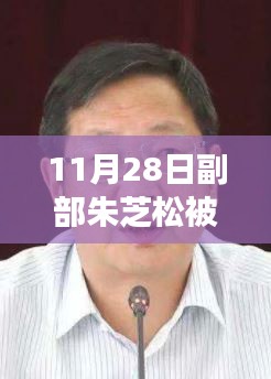 心得分享 第487页