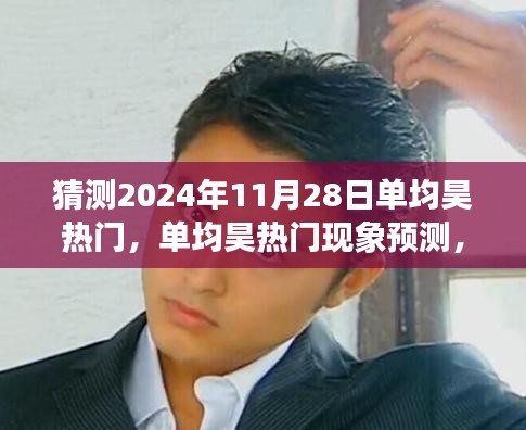 单均昊现象揭秘,热门预测与深度剖析,展望未来的展望之路(2024年11月28日)