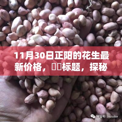 帮助中心 第447页