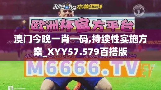 澳门今晚一肖一码,持续性实施方案_XYY57.579百搭版