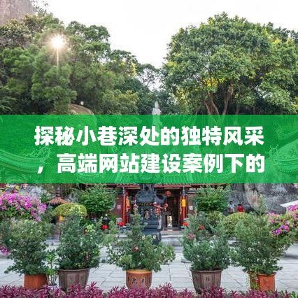 高端网站建设案例背后的特色小巷风采,成长之路探秘