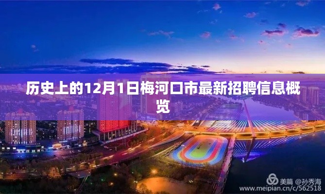 夯雀儿先飞 第5页