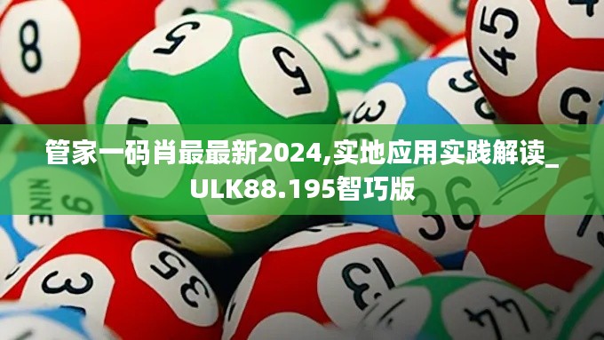 管家一码肖最最新2024,实地应用实践解读_ULK88.195智巧版