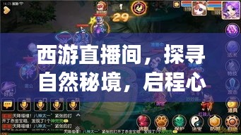 西游直播间,探寻自然秘境,启程心灵之旅的新篇章直播秀
