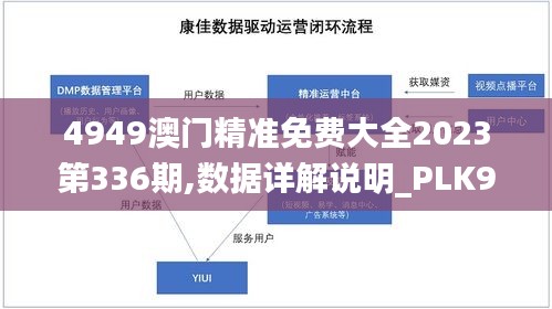 4949澳门精准免费大全2023第336期,数据详解说明_PLK93.221豪华款