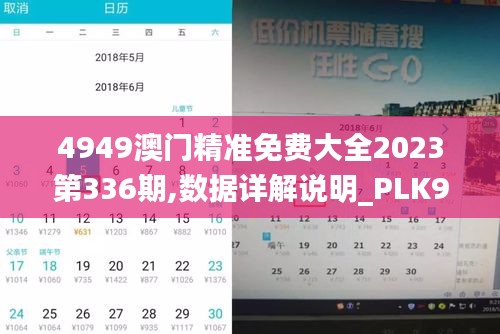 4949澳门精准免费大全2023第336期,数据详解说明_PLK93.221豪华款