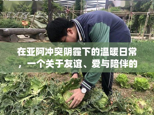亚阿冲突下的温暖日常,友谊、爱与陪伴的感人故事
