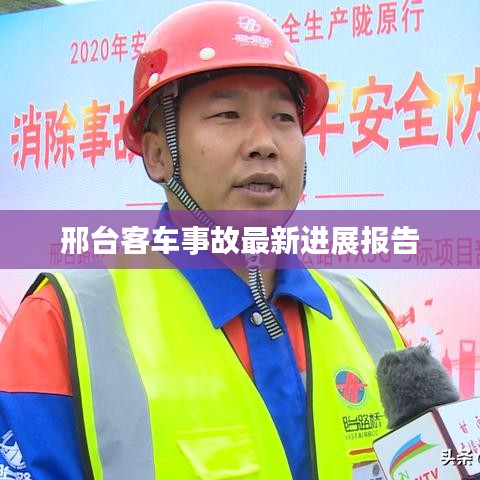 百鸟归巢 第4页