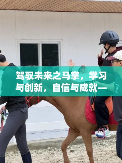 驾驭未来之马掌,展望新型马掌与成长之路——2024年展望