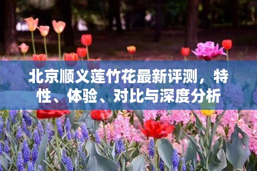 杳无音信 第4页