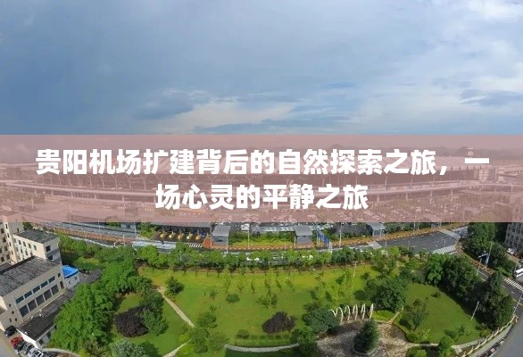 乌鸟之情 第5页
