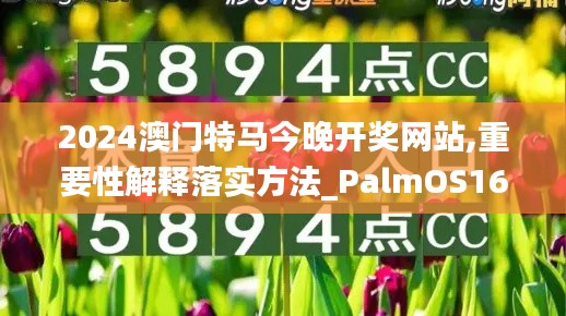 2024澳门特马今晚开奖网站,重要性解释落实方法_PalmOS165.143-3