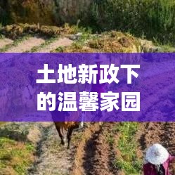 飞珠迸玉 第5页
