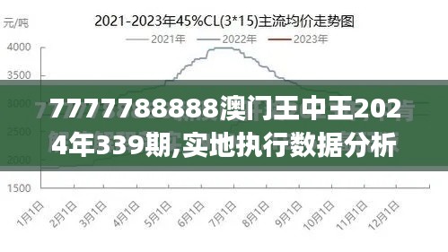 7777788888澳门王中王2024年339期,实地执行数据分析_特供版159.531-5