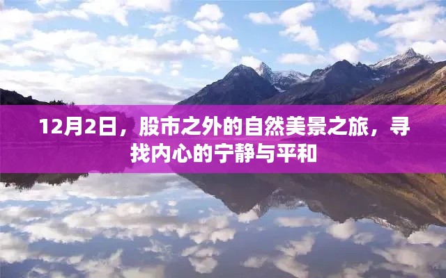 12月2日自然之旅,股市外的宁静心境探索