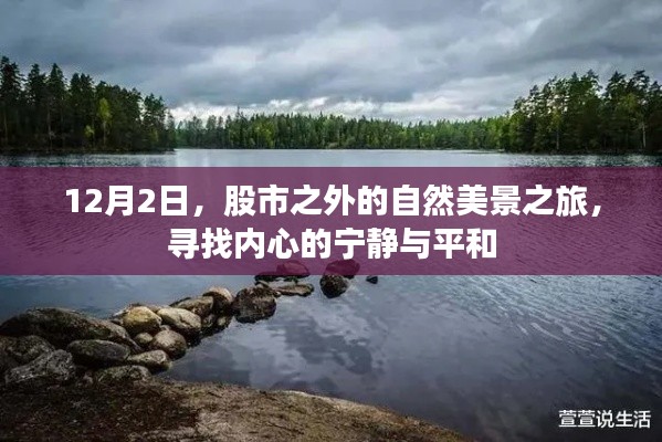12月2日自然之旅,股市外的宁静心境探索