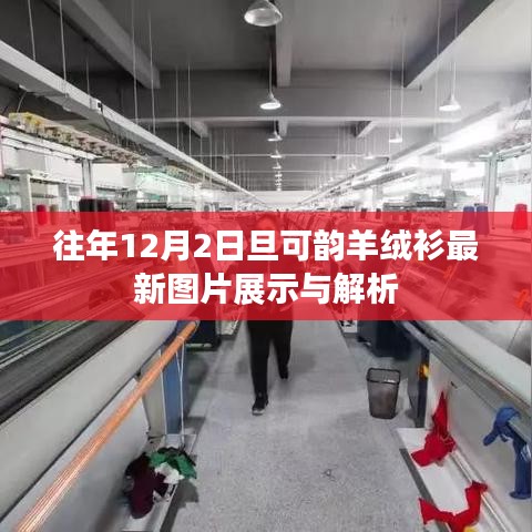 鸢飞鱼跃 第4页