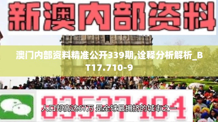澳门内部资料精准公开339期,诠释分析解析_BT17.710-9