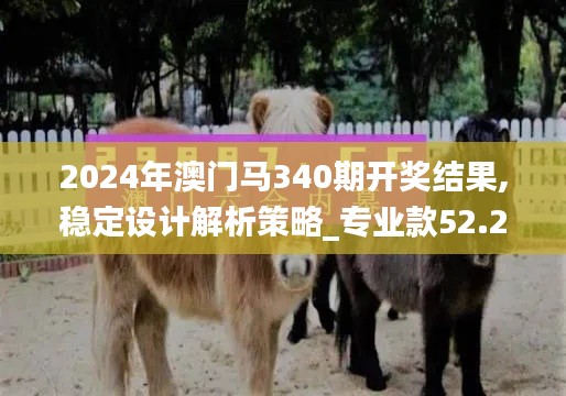2024年澳门马340期开奖结果,稳定设计解析策略_专业款52.269-2
