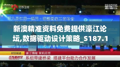 新澳精准资料免费提供濠江论坛,数据驱动设计策略_S187.178-4