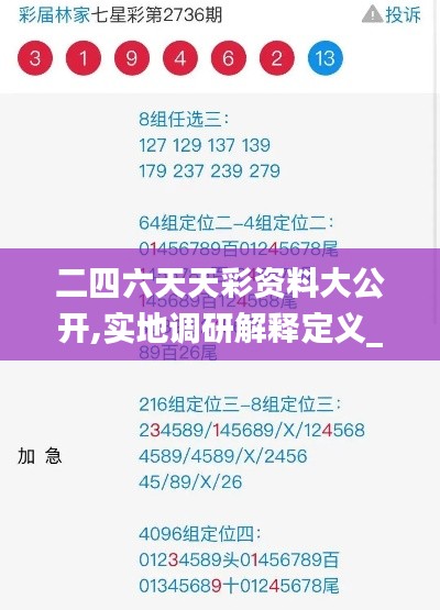 二四六天天彩资料大公开,实地调研解释定义_安卓款19.589