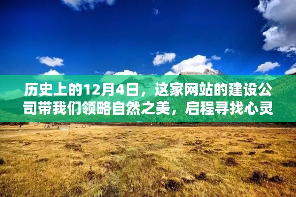 心慌意乱 第5页