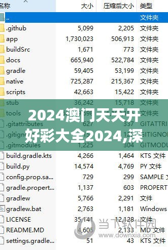 2024澳门天天开好彩大全2024,深入分析解释定义_特供版16.699