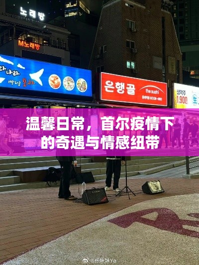 首尔疫情下的温馨奇遇与情感纽带