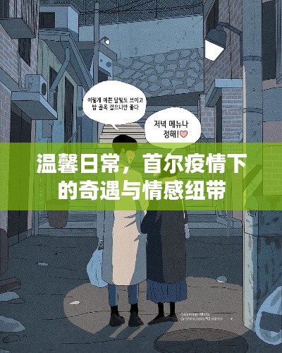 首尔疫情下的温馨奇遇与情感纽带