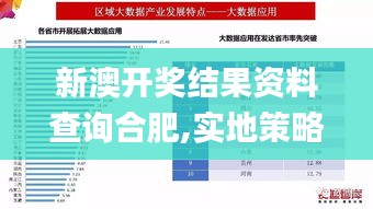 新澳开奖结果资料查询合肥,实地策略评估数据_8DM5.677
