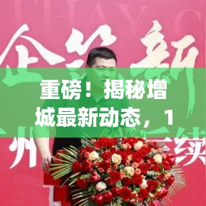 网站案例 第378页