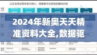 2024年新奥天天精准资料大全,数据驱动方案实施_尊贵版5.295