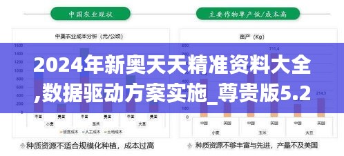 2024年新奥天天精准资料大全,数据驱动方案实施_尊贵版5.295