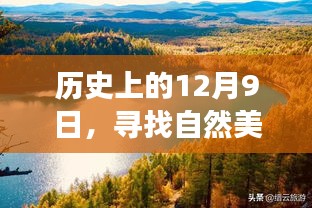 帮助中心 第348页