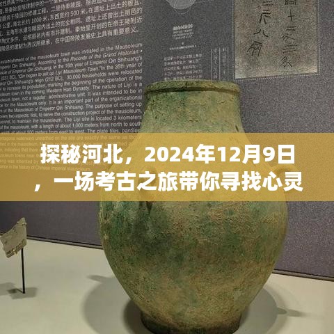 望其项背 第5页