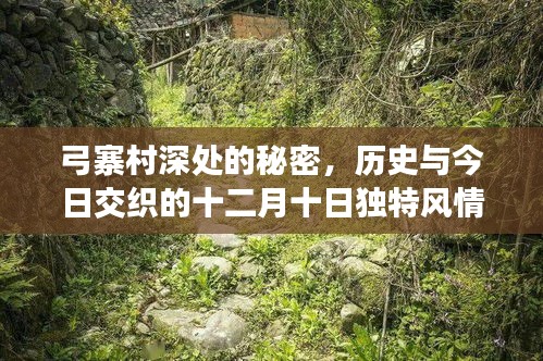 弓寨村十二月十日的独特风情,历史与现代的交织之谜