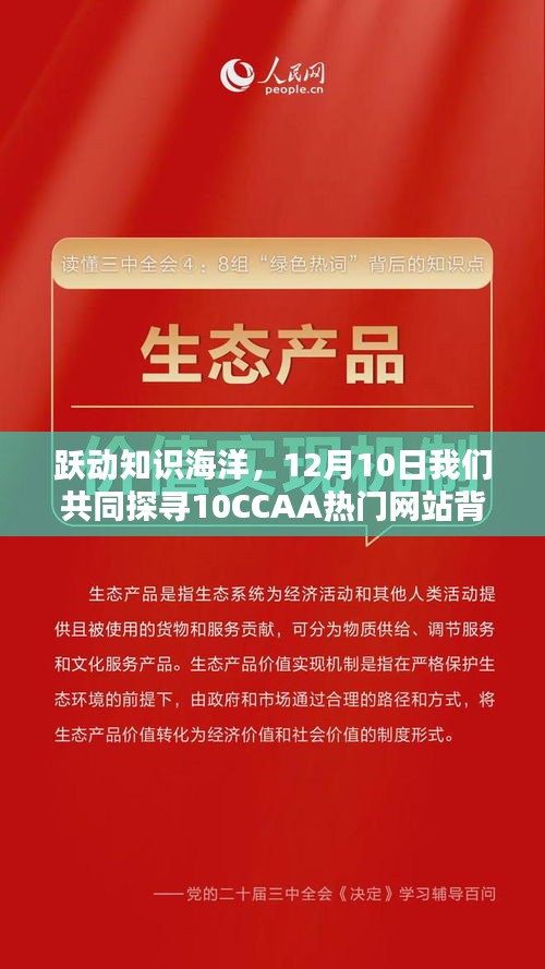 探寻励志力量,跃动知识海洋,揭秘12月热门网站背后的故事——10CCAA系列网站励志之旅