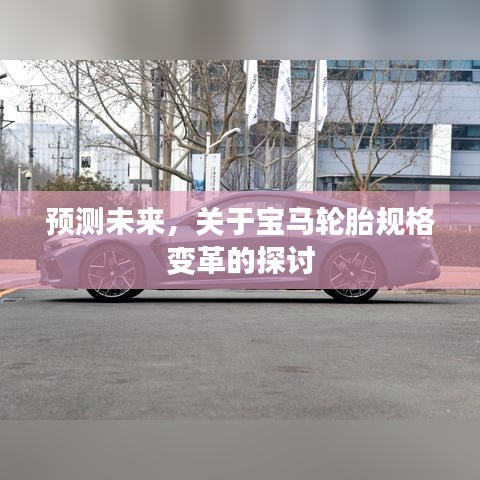 宝马轮胎规格变革的未来趋势探讨