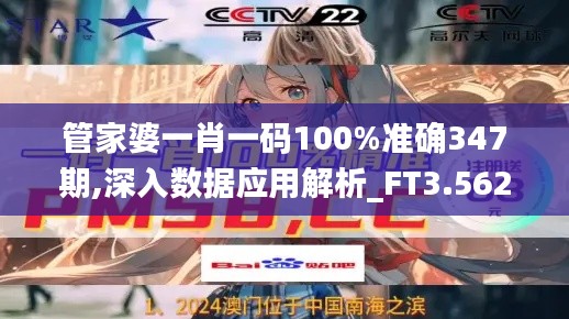 管家婆一肖一码100%准确347期,深入数据应用解析_FT3.562