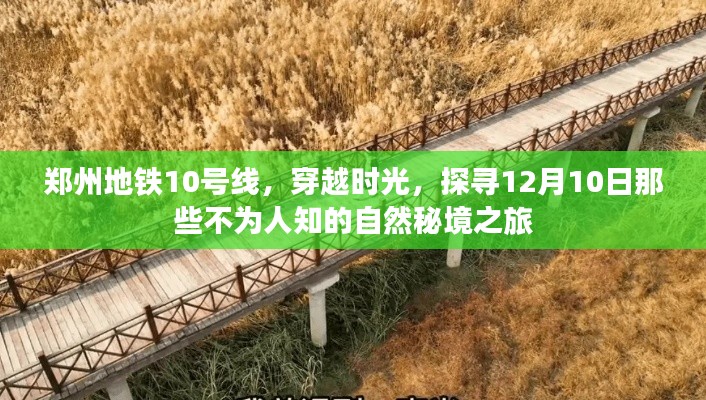 郑州地铁10号线,探寻时光秘境,开启未知自然之旅