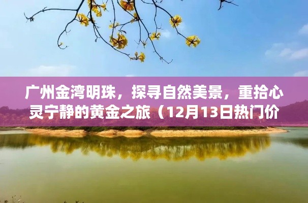 广州金湾明珠,自然美景探寻与心灵宁静的黄金之旅(12月热门价格探秘)