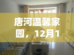唐河温馨家园,租房奇遇与家的温馨时光(12月13日)