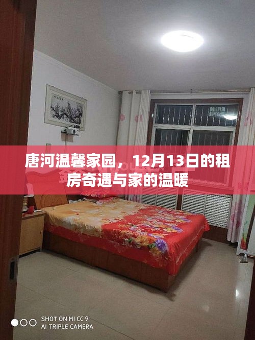 唐河温馨家园,租房奇遇与家的温馨时光(12月13日)