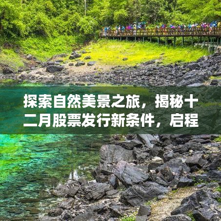 揭秘新股票发行条件,启程探索自然美景与内心平静之旅