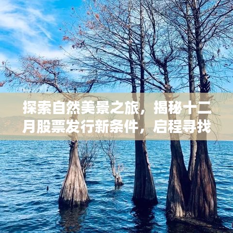 揭秘新股票发行条件,启程探索自然美景与内心平静之旅