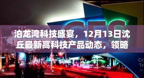 泊龙湾科技盛宴,沈丘最新高科技产品动态,领略未来生活新篇章(12月13日)