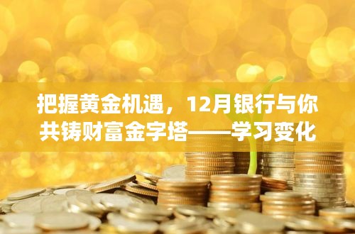 把握黄金机遇,共铸财富金字塔,银行助力下的学习成长与自信闪耀