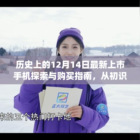 栖鸟于泉 第4页