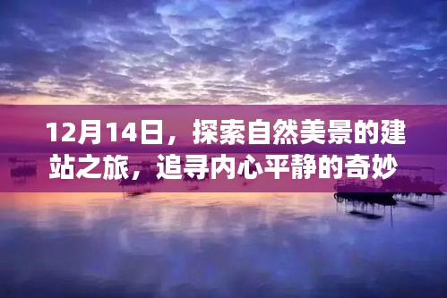 追寻内心平静的奇妙旅程,探索自然美景的建站之旅(12月14日)