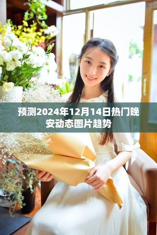 晚安动态图片趋势预测,2024年12月14日热门动态展望